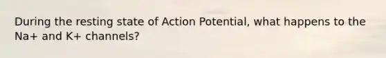 During the resting state of Action Potential, what happens to the Na+ and K+ channels?