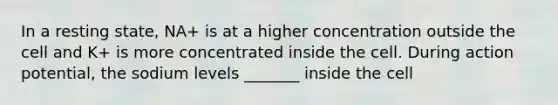 In a resting state, NA+ is at a higher concentration outside the cell and K+ is more concentrated inside the cell. During action potential, the sodium levels _______ inside the cell