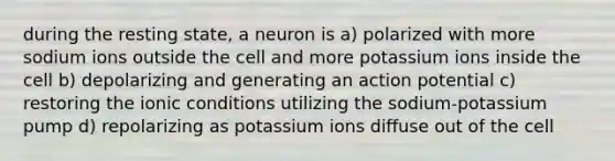 during the resting state, a neuron is a) polarized with more sodium ions outside the cell and more potassium ions inside the cell b) depolarizing and generating an action potential c) restoring the ionic conditions utilizing the sodium-potassium pump d) repolarizing as potassium ions diffuse out of the cell