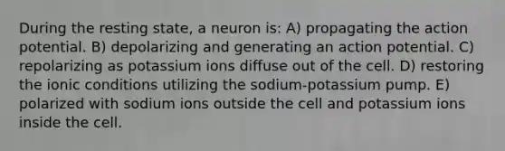 During the resting state, a neuron is: A) propagating the action potential. B) depolarizing and generating an action potential. C) repolarizing as potassium ions diffuse out of the cell. D) restoring the ionic conditions utilizing the sodium-potassium pump. E) polarized with sodium ions outside the cell and potassium ions inside the cell.