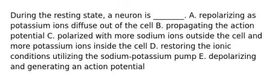 During the resting state, a neuron is ________. A. repolarizing as potassium ions diffuse out of the cell B. propagating the action potential C. polarized with more sodium ions outside the cell and more potassium ions inside the cell D. restoring the ionic conditions utilizing the sodium-potassium pump E. depolarizing and generating an action potential