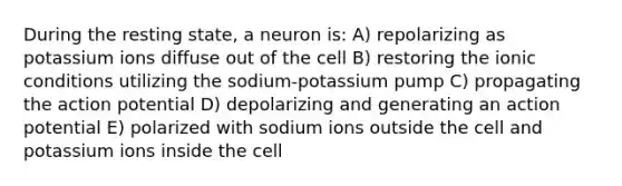 During the resting state, a neuron is: A) repolarizing as potassium ions diffuse out of the cell B) restoring the ionic conditions utilizing the sodium-potassium pump C) propagating the action potential D) depolarizing and generating an action potential E) polarized with sodium ions outside the cell and potassium ions inside the cell