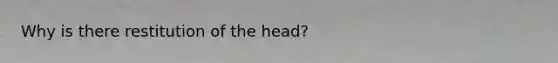 Why is there restitution of the head?