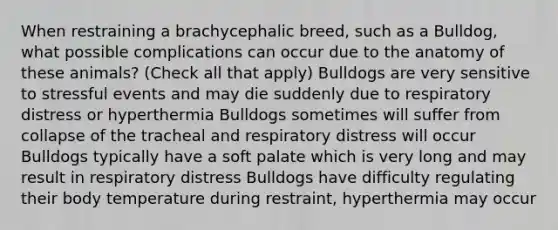 When restraining a brachycephalic breed, such as a Bulldog, what possible complications can occur due to the anatomy of these animals? (Check all that apply) Bulldogs are very sensitive to stressful events and may die suddenly due to respiratory distress or hyperthermia Bulldogs sometimes will suffer from collapse of the tracheal and respiratory distress will occur Bulldogs typically have a soft palate which is very long and may result in respiratory distress Bulldogs have difficulty regulating their body temperature during restraint, hyperthermia may occur