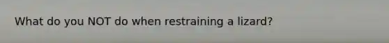 What do you NOT do when restraining a lizard?