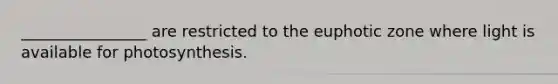 ________________ are restricted to the euphotic zone where light is available for photosynthesis.