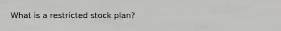 What is a restricted stock plan?