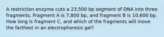 A restriction enzyme cuts a 23,500 bp segment of DNA into three fragments. Fragment A is 7,800 bp, and fragment B is 10,600 bp. How long is fragment C, and which of the fragments will move the farthest in an electrophoresis gel?