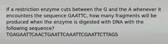 If a restriction enzyme cuts between the G and the A whenever it encounters the sequence GAATTC, how many fragments will be produced when the enzyme is digested with DNA with the following sequence? TGAGAATTCAACTGAATTCAAATTCGAATTCTTAGS