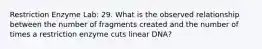 Restriction Enzyme Lab: 29. What is the observed relationship between the number of fragments created and the number of times a restriction enzyme cuts linear DNA?