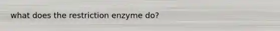 what does the restriction enzyme do?