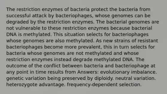 The restriction enzymes of bacteria protect the bacteria from successful attack by bacteriophages, whose genomes can be degraded by the restriction enzymes. The bacterial genomes are not vulnerable to these restriction enzymes because bacterial DNA is methylated. This situation selects for bacteriophages whose genomes are also methylated. As new strains of resistant bacteriophages become more prevalent, this in turn selects for bacteria whose genomes are not methylated and whose restriction enzymes instead degrade methylated DNA. The outcome of the conflict between bacteria and bacteriophage at any point in time results from Answers: evolutionary imbalance. genetic variation being preserved by diploidy. neutral variation. heterozygote advantage. frequency-dependent selection.