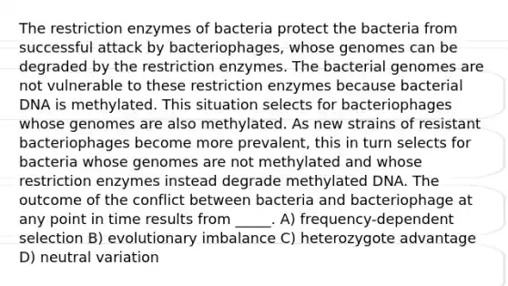 The restriction enzymes of bacteria protect the bacteria from successful attack by bacteriophages, whose genomes can be degraded by the restriction enzymes. The bacterial genomes are not vulnerable to these restriction enzymes because bacterial DNA is methylated. This situation selects for bacteriophages whose genomes are also methylated. As new strains of resistant bacteriophages become more prevalent, this in turn selects for bacteria whose genomes are not methylated and whose restriction enzymes instead degrade methylated DNA. The outcome of the conflict between bacteria and bacteriophage at any point in time results from _____. A) frequency-dependent selection B) evolutionary imbalance C) heterozygote advantage D) neutral variation