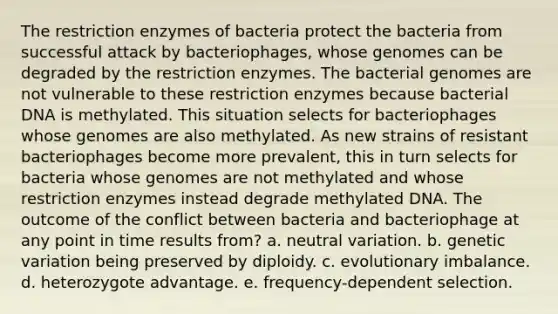 The restriction enzymes of bacteria protect the bacteria from successful attack by bacteriophages, whose genomes can be degraded by the restriction enzymes. The bacterial genomes are not vulnerable to these restriction enzymes because bacterial DNA is methylated. This situation selects for bacteriophages whose genomes are also methylated. As new strains of resistant bacteriophages become more prevalent, this in turn selects for bacteria whose genomes are not methylated and whose restriction enzymes instead degrade methylated DNA. The outcome of the conflict between bacteria and bacteriophage at any point in time results from? a. neutral variation. b. genetic variation being preserved by diploidy. c. evolutionary imbalance. d. heterozygote advantage. e. frequency-dependent selection.