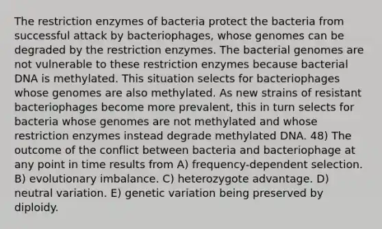 The restriction enzymes of bacteria protect the bacteria from successful attack by bacteriophages, whose genomes can be degraded by the restriction enzymes. The bacterial genomes are not vulnerable to these restriction enzymes because bacterial DNA is methylated. This situation selects for bacteriophages whose genomes are also methylated. As new strains of resistant bacteriophages become more prevalent, this in turn selects for bacteria whose genomes are not methylated and whose restriction enzymes instead degrade methylated DNA. 48) The outcome of the conflict between bacteria and bacteriophage at any point in time results from A) frequency-dependent selection. B) evolutionary imbalance. C) heterozygote advantage. D) neutral variation. E) genetic variation being preserved by diploidy.