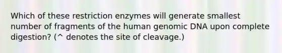 Which of these restriction enzymes will generate smallest number of fragments of the human genomic DNA upon complete digestion? (^ denotes the site of cleavage.)