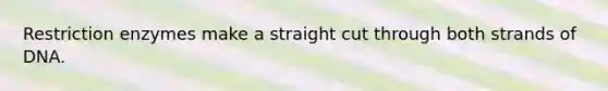 Restriction enzymes make a straight cut through both strands of DNA.