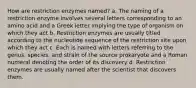 How are restriction enzymes named? a. The naming of a restriction enzyme involves several letters corresponding to an amino acid and a Greek letter implying the type of organism on which they act b. Restriction enzymes are usually titled according to the nucleotide sequence of the restriction site upon which they act c. Each is named with letters referring to the genus, species, and strain of the source prokaryote and a Roman numeral denoting the order of its discovery d. Restriction enzymes are usually named after the scientist that discovers them.