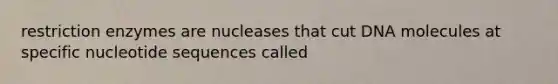 restriction enzymes are nucleases that cut DNA molecules at specific nucleotide sequences called