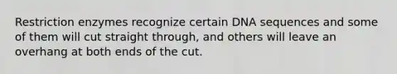 Restriction enzymes recognize certain DNA sequences and some of them will cut straight through, and others will leave an overhang at both ends of the cut.