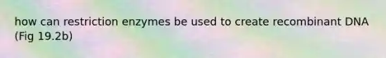 how can restriction enzymes be used to create recombinant DNA (Fig 19.2b)