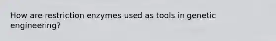 How are restriction enzymes used as tools in genetic engineering?