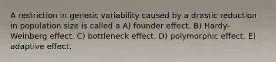 A restriction in genetic variability caused by a drastic reduction in population size is called a A) founder effect. B) Hardy-Weinberg effect. C) bottleneck effect. D) polymorphic effect. E) adaptive effect.