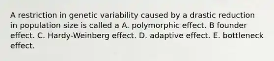 A restriction in genetic variability caused by a drastic reduction in population size is called a A. polymorphic effect. B founder effect. C. Hardy-Weinberg effect. D. adaptive effect. E. bottleneck effect.