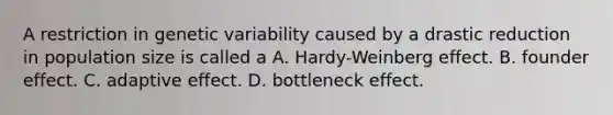 A restriction in genetic variability caused by a drastic reduction in population size is called a A. Hardy-Weinberg effect. B. founder effect. C. adaptive effect. D. bottleneck effect.