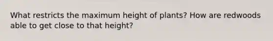 What restricts the maximum height of plants? How are redwoods able to get close to that height?