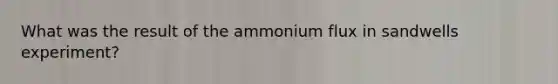 What was the result of the ammonium flux in sandwells experiment?