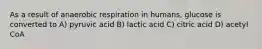 As a result of anaerobic respiration in humans, glucose is converted to A) pyruvic acid B) lactic acid C) citric acid D) acetyl CoA