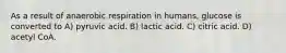 As a result of anaerobic respiration in humans, glucose is converted to A) pyruvic acid. B) lactic acid. C) citric acid. D) acetyl CoA.