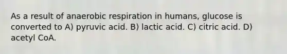 As a result of anaerobic respiration in humans, glucose is converted to A) pyruvic acid. B) lactic acid. C) citric acid. D) acetyl CoA.