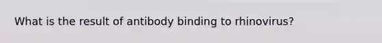 What is the result of antibody binding to rhinovirus?