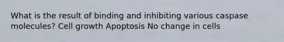 What is the result of binding and inhibiting various caspase molecules? Cell growth Apoptosis No change in cells