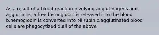 As a result of a blood reaction involving agglutinogens and agglutinins, a.free hemoglobin is released into the blood b.hemoglobin is converted into bilirubin c.agglutinated blood cells are phagocytized d.all of the above