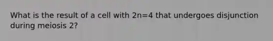 What is the result of a cell with 2n=4 that undergoes disjunction during meiosis 2?