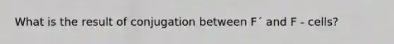 What is the result of conjugation between F´ and F - cells?