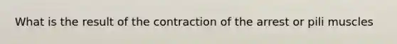 What is the result of the contraction of the arrest or pili muscles