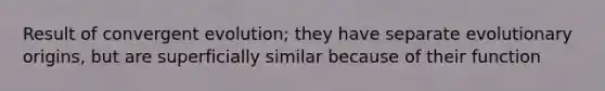 Result of convergent evolution; they have separate evolutionary origins, but are superficially similar because of their function