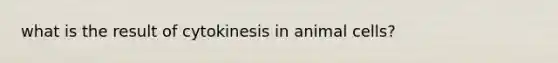 what is the result of cytokinesis in animal cells?