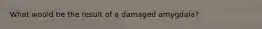 What would be the result of a damaged amygdala?