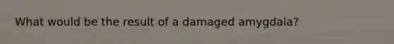 What would be the result of a damaged amygdala?