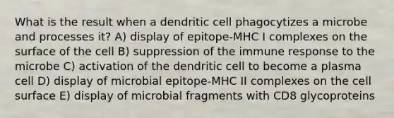 What is the result when a dendritic cell phagocytizes a microbe and processes it? A) display of epitope-MHC I complexes on the surface of the cell B) suppression of the immune response to the microbe C) activation of the dendritic cell to become a plasma cell D) display of microbial epitope-MHC II complexes on the cell surface E) display of microbial fragments with CD8 glycoproteins