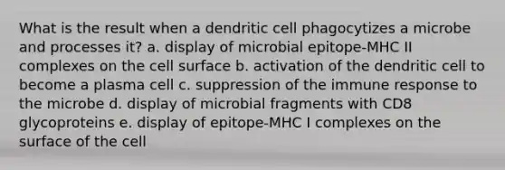 What is the result when a dendritic cell phagocytizes a microbe and processes it? a. display of microbial epitope-MHC II complexes on the cell surface b. activation of the dendritic cell to become a plasma cell c. suppression of the immune response to the microbe d. display of microbial fragments with CD8 glycoproteins e. display of epitope-MHC I complexes on the surface of the cell