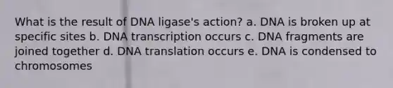 What is the result of DNA ligase's action? a. DNA is broken up at specific sites b. DNA transcription occurs c. DNA fragments are joined together d. DNA translation occurs e. DNA is condensed to chromosomes