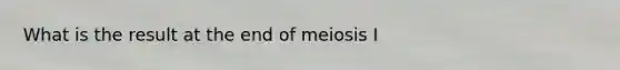 What is the result at the end of meiosis I