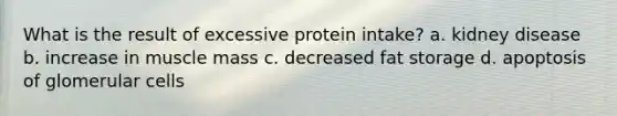 What is the result of excessive protein intake? a. kidney disease b. increase in muscle mass c. decreased fat storage d. apoptosis of glomerular cells