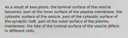 As a result of exocytosis, the luminal surface of the vesicle becomes: part of the inner surface of the plasma membrane. the cytosolic surface of the vesicle. part of the cytosolic surface of the synaptic cleft. part of the outer surface of the plasma membrane. the fate of the luminal surface of the vesicle differs in different cells.